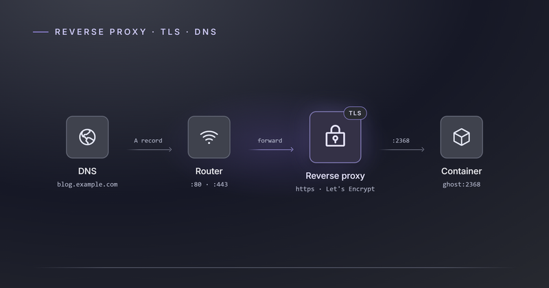 Putting a service on the public internet: reverse proxy, TLS and DNS